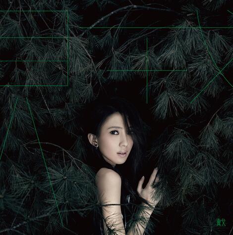 戴佩妮.2016 – 贼【种子音乐】【FLAC】